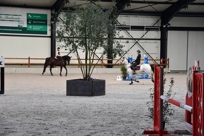 paardenpiste, keerwanden, manege, betonnen wanden, CBS Beton 4