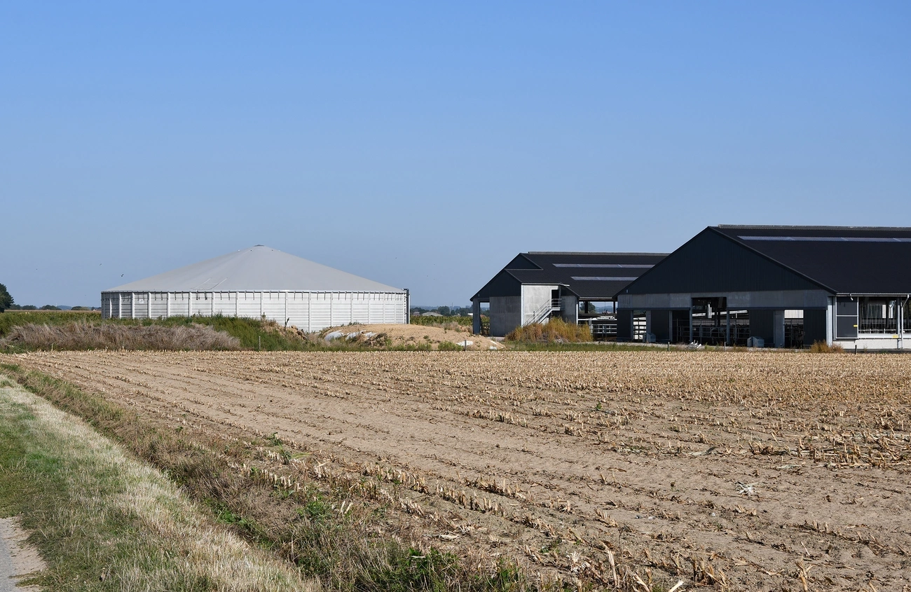  MESTSILO TE OUDENAARDE